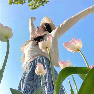 猫和老鼠：海盗寻宝